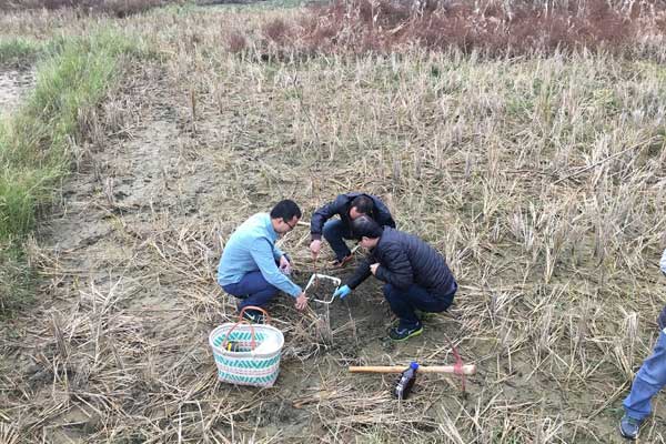 農(nóng)用地轉建設用地土壤污染調查